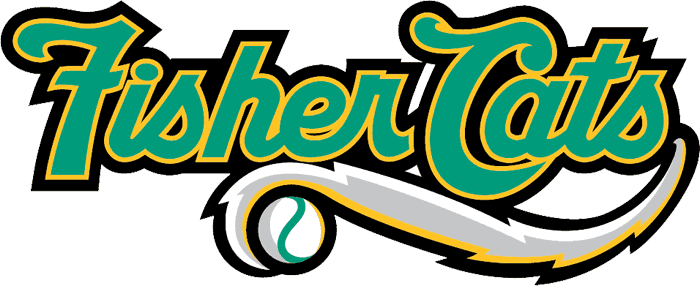 New Hampshire Fisher Cats 2008-2010 wordmark logo iron on transfers for T-shirts